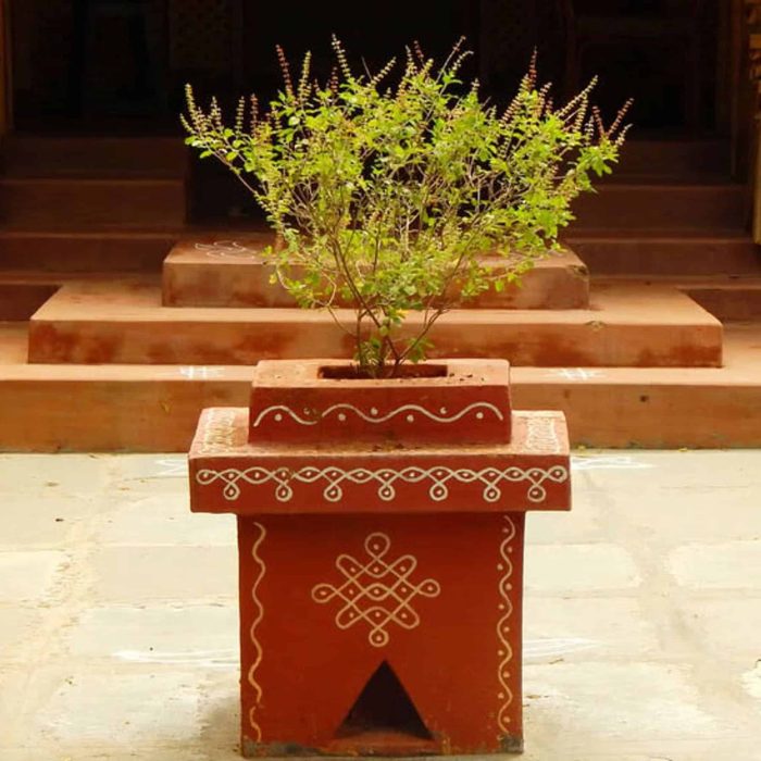 0521_tulsi-in-traditional-vrindavan - MG Construction